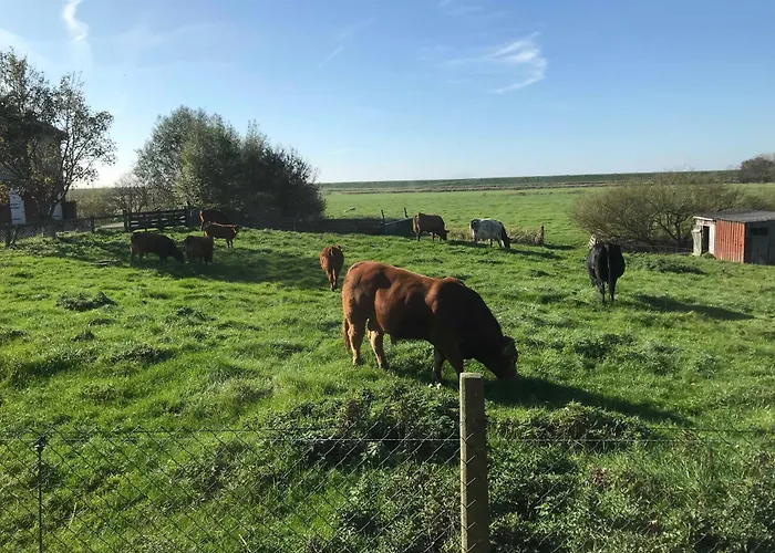Σπίτι διακοπών Grosse Gaarde Ockholm